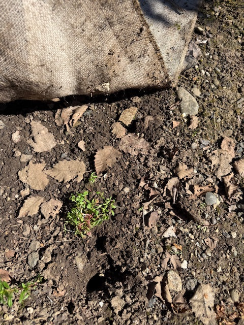 Aerial Target Decomposition Update: Nature Is Doing the Work