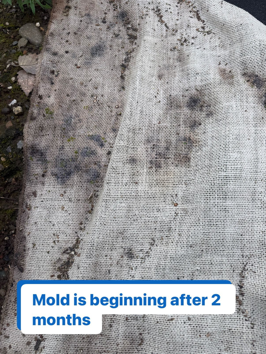 What are the Steps of Decomposition?