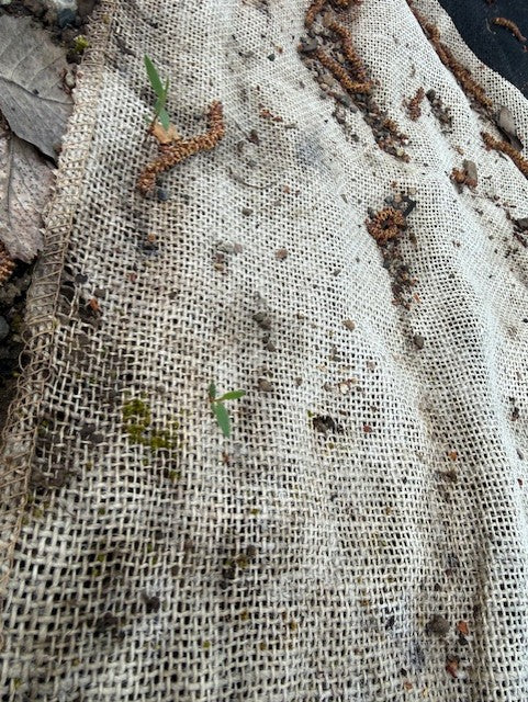 Decomposition Update